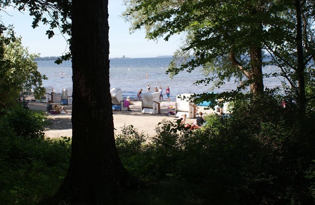 Island view - ABC345 - Island view