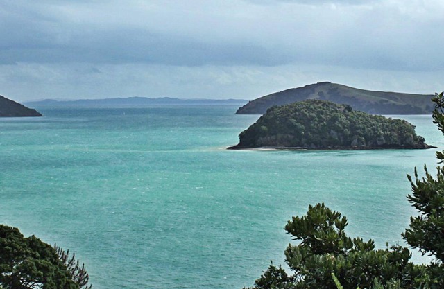 Island View ~ Coromandel Town