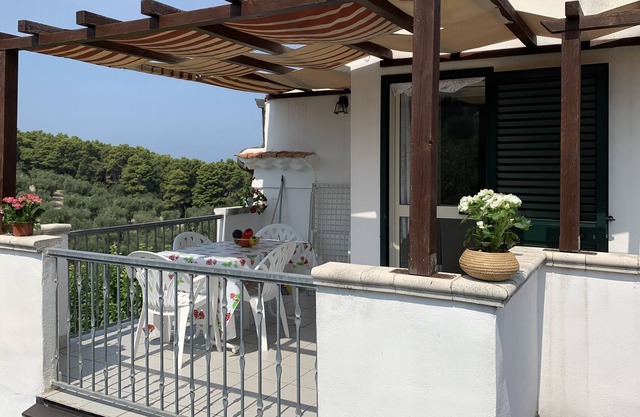 Mulberry Tree House GELSO