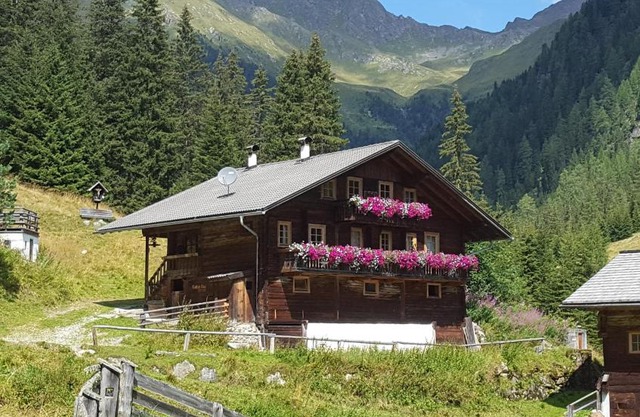 Gallfallalm