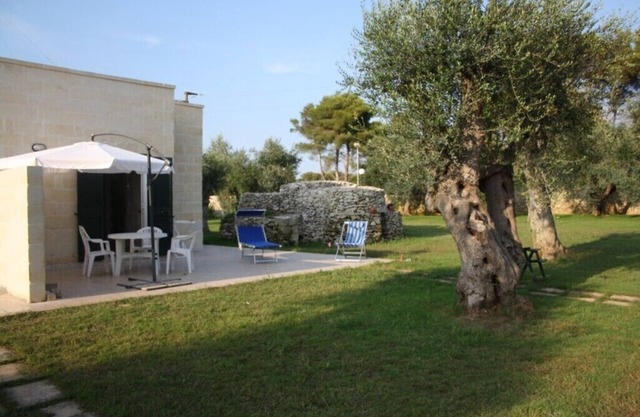 Vacation home sea and olive trees 4