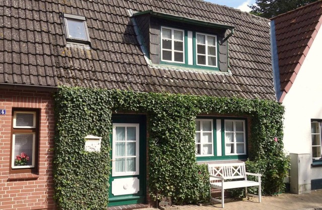 Ivy nest, Germany