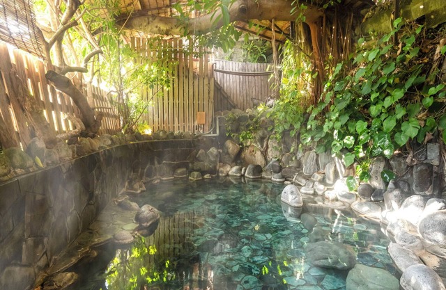 Izuatagawa Onsen Miharuya