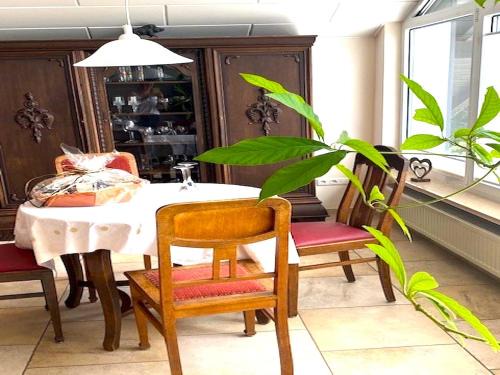 Jünkerath Romantic Garden Stay, cleaning included