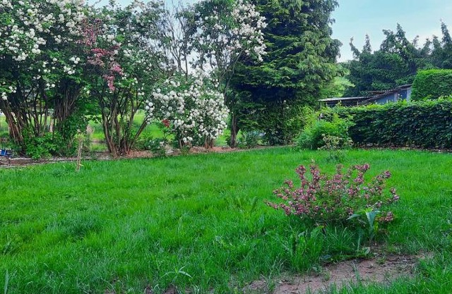 Jagdsteinblick