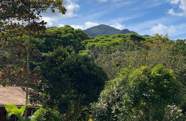 Jardim Mirim