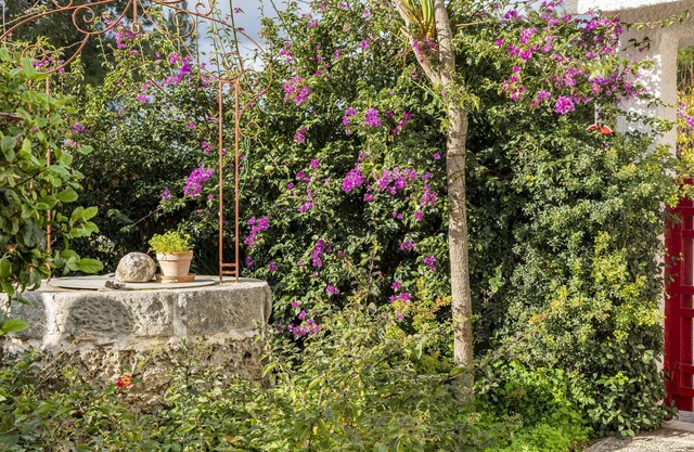 JASMINE VILLA