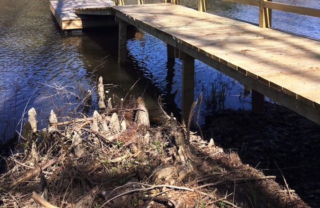 Jeff's Cottage*3 bedroom*2 bath*Toledo Bend*Louisiana Side*1215 area