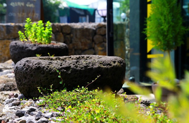 Jeju Baraki