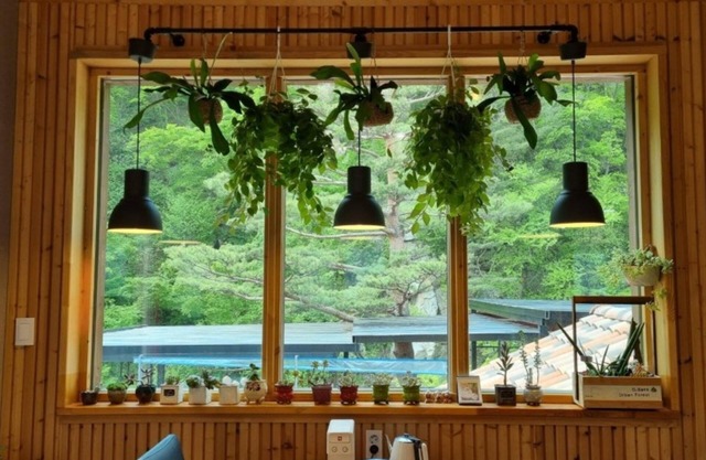 Jeongseon Solmi Pension