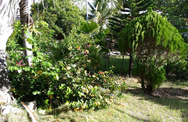 Jomajean Garden
