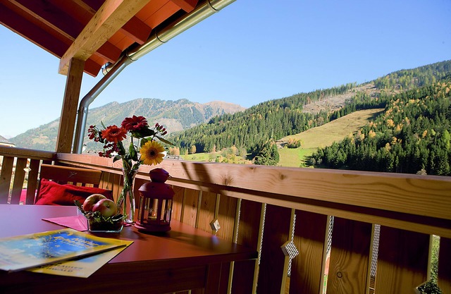 JUFA Hotel Donnersbachwald