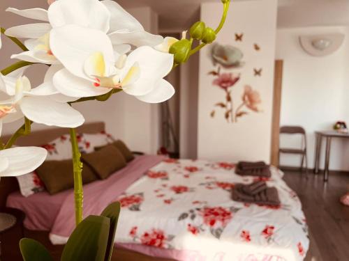 Julia Apartament