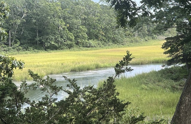 July-Oct: 3 bm charming Waterfront Artist Cottage for Rent In North Fork, NY n