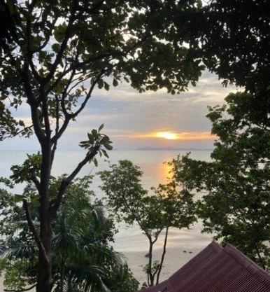 Jungle Hill Beach Bungalow