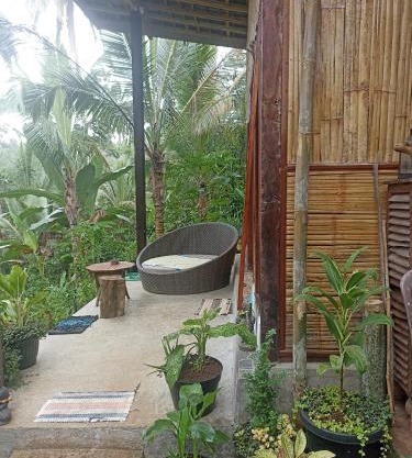 Jungle hous