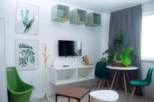 Jungle & Orange Box - Studio - Navodari