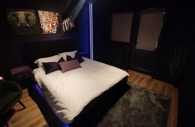 Jungle Studio BRAILA