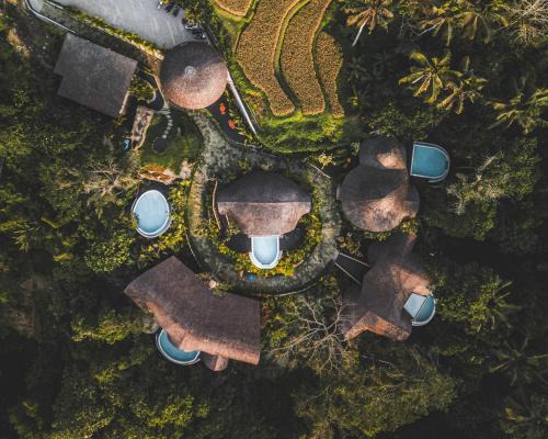 Jungleight Bali