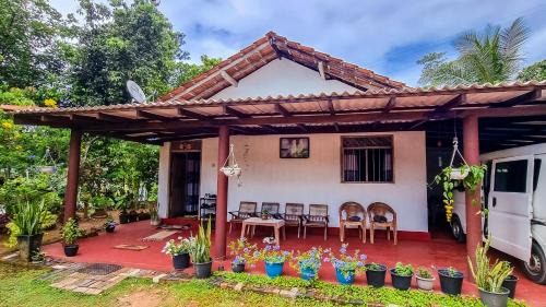 Juno Homestay