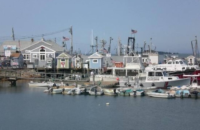 Just Renovated-Spacious 2 Bedroom-Downtown Plymouth-Cozy Get Away