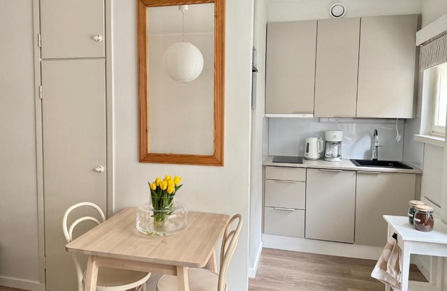 Just renovated Stylish Nordic Studio by Tram Stop