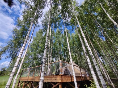 Käkiniitty Glamping Cuckoo Camp