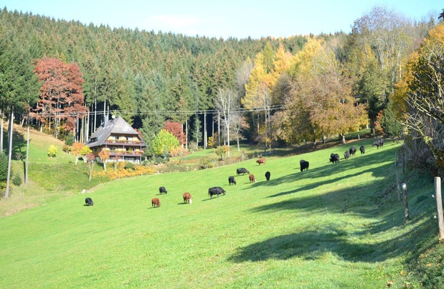 Königswald-Silberberg-Kupferberg, 70sqm, 2 bedrooms, max. 6 people
