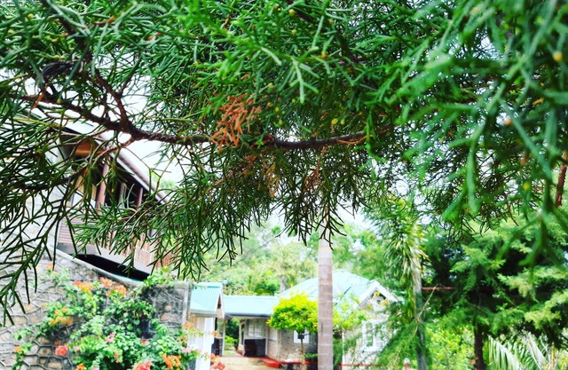 Kallycave Eco Lodge