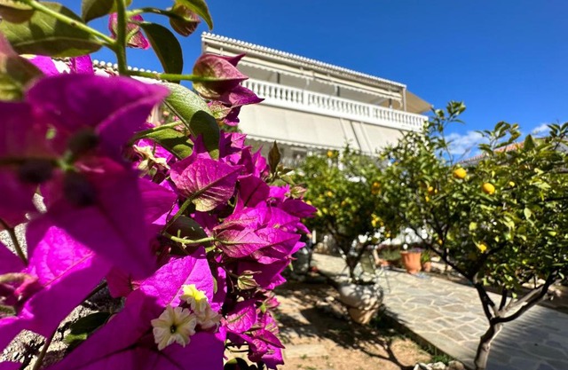 Kamelia Hotel