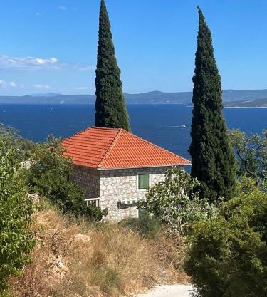 Kameni cvijet