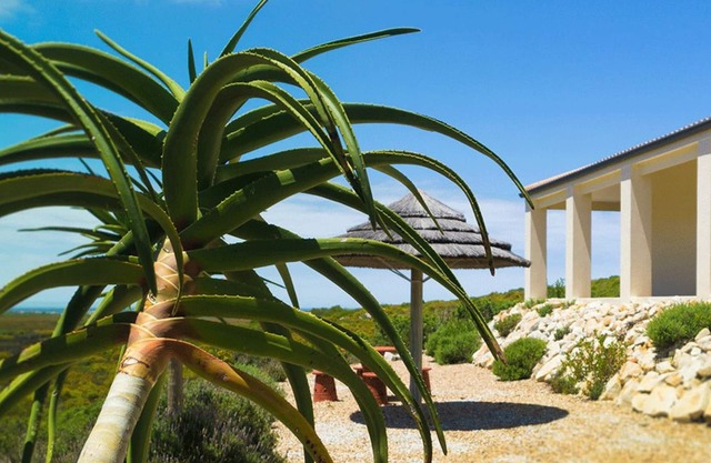 Kapensis Guesthouse