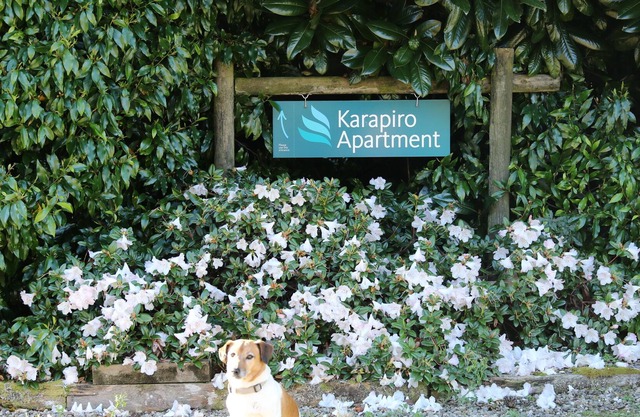 Karapiro Apartment, close to Lake Karapiro, Self-contained, one bedroom
