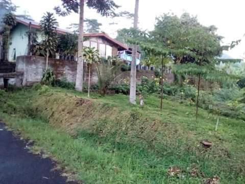 Karleta Homestay