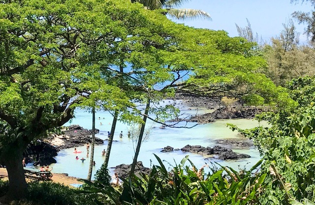 KeALOHA - INCREDIBLE views, Spectacular Beach Park, the Best snorkeling, Turtles