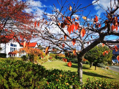 Kelvin Garden Villa