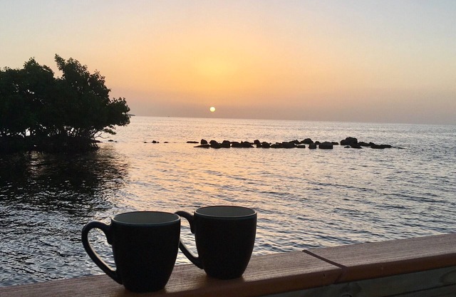 Key Largo-Islamorada area-1 BR, 1 Bath -Privately Owned Condo -Fab Reviews!