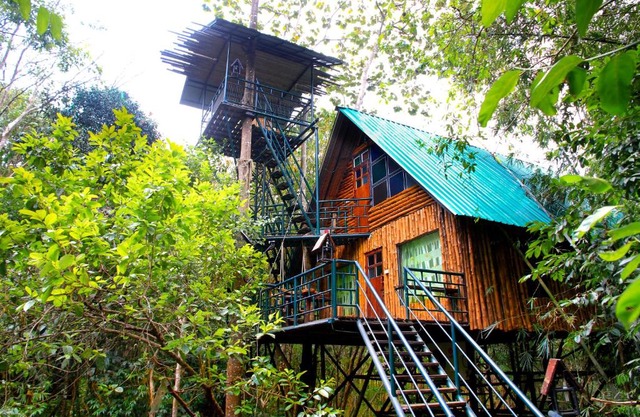 Khao Sok Tree House Resort