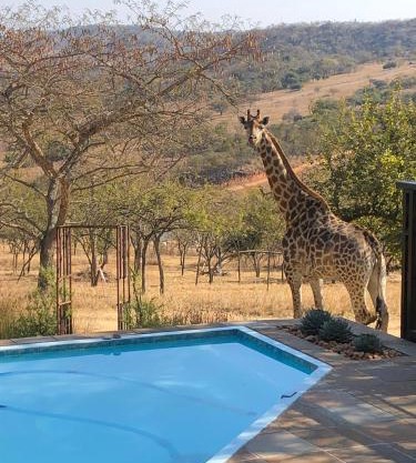 Khululeka Safaris Lodge