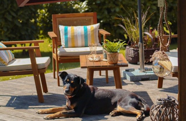 Kiek in - Strandnah, Kamin, Terrasse, Waschmaschine