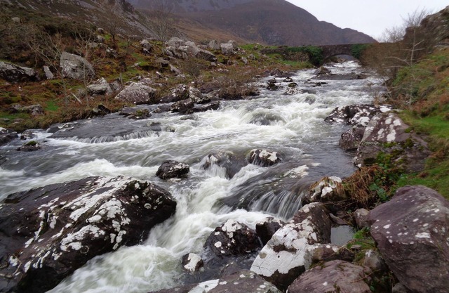 KILLARNEY HOLIDAY APARTMENTS ATTACHED TO REDWOOD GUEST HOUSE