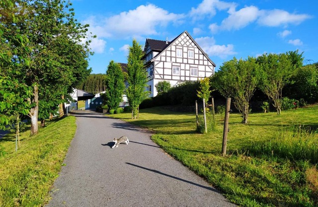 kleine AusZeit