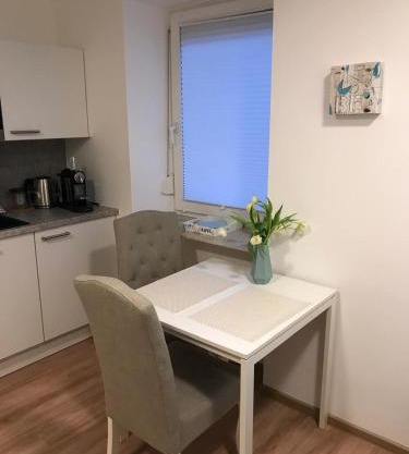 Kleine feine Wohnung Gmunden City
