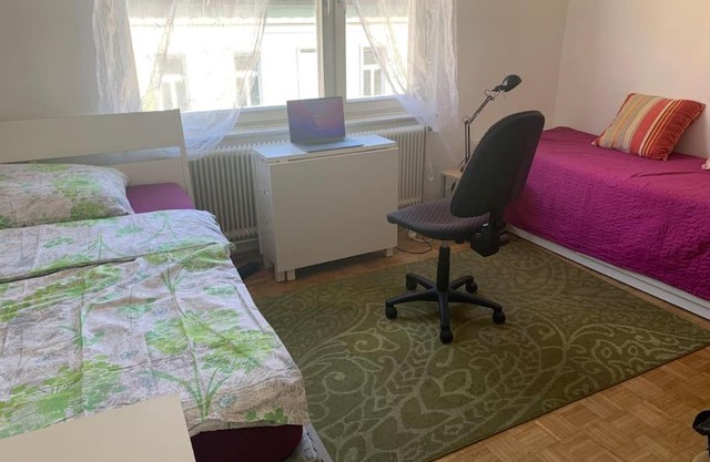Kleine Wohnung im Zentrum Graz