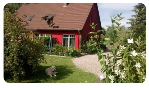 Kleiner Bauernhof in Ostseenähe - ganze Ferienwohnung mit 2 Zimmern