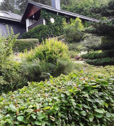 Kleines Haus am Wald