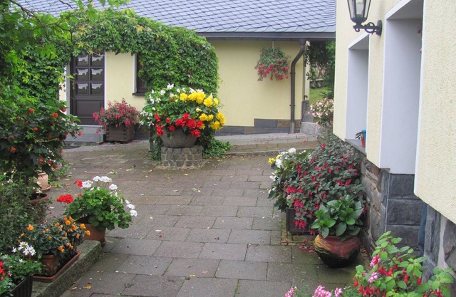 Klingenthal - 4-star holiday home