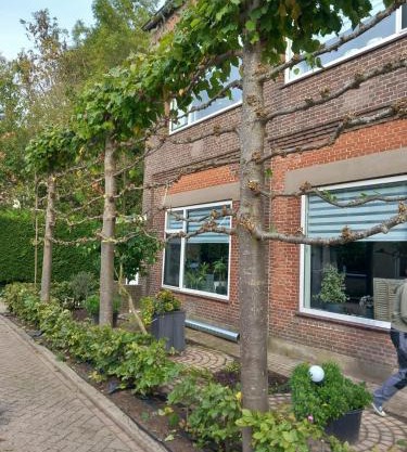 Klooster Achthuizen