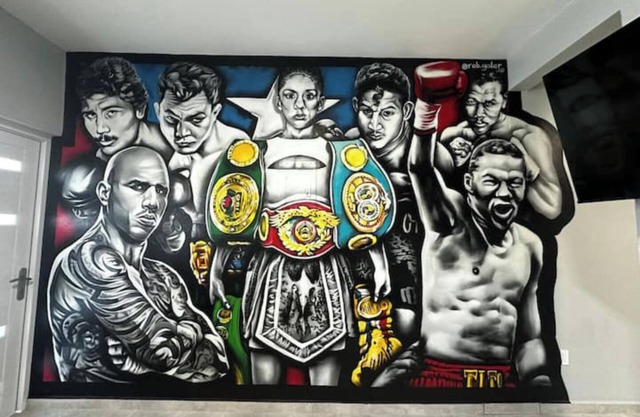 Knockout Stay! PR's Boxing Legends 1-Bd Suite, 4 mins from Crash Boat Beach