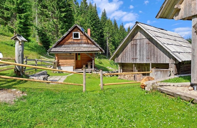 Koča na planini Jelje - Pokljuka